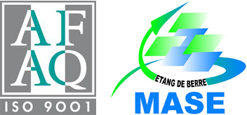 Logo_afqf-mase